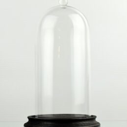 clear-circular-glass-dome-with-knob-and-black-vintage-wooden-base-21-5-x-10-cm