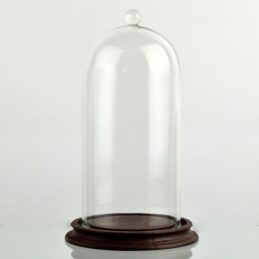 clear-circular-glass-dome-with-knob-and-brown-vintage-wooden-base-21-5-x-10-cm