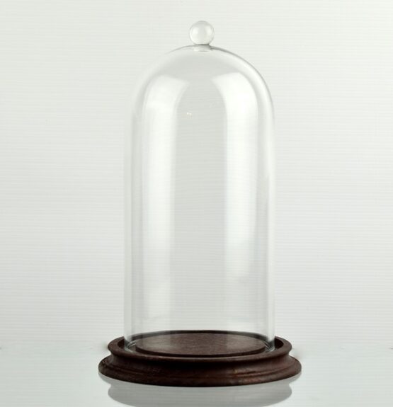 clear-circular-glass-dome-with-knob-and-brown-vintage-wooden-base-21-5-x-10-cm